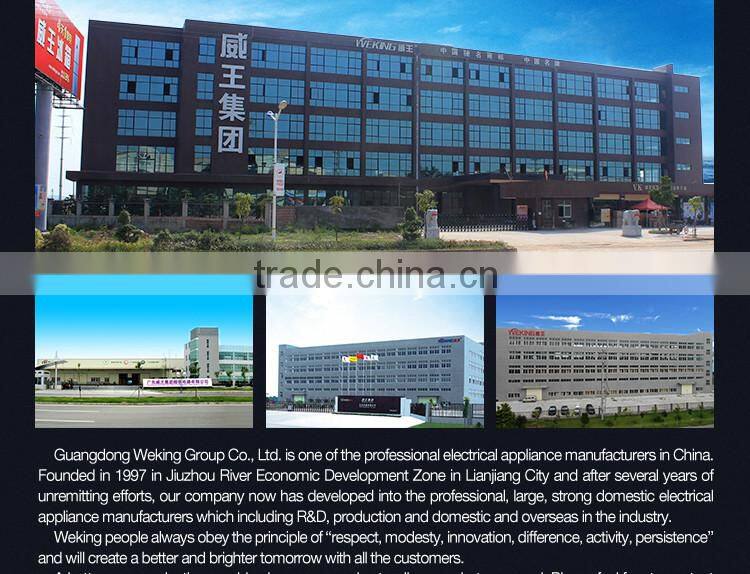 WK-6017 water electric kettle