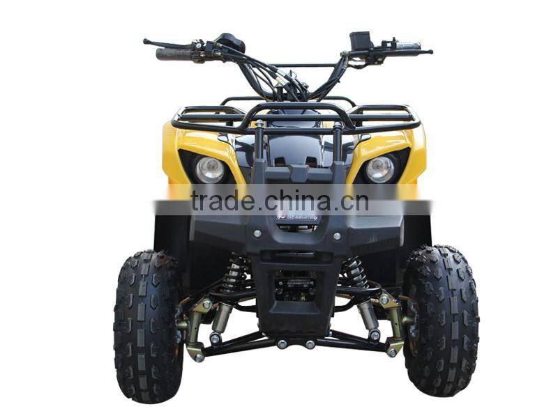 1000W Four Wheel Beach Buggy Amphibious Quad
