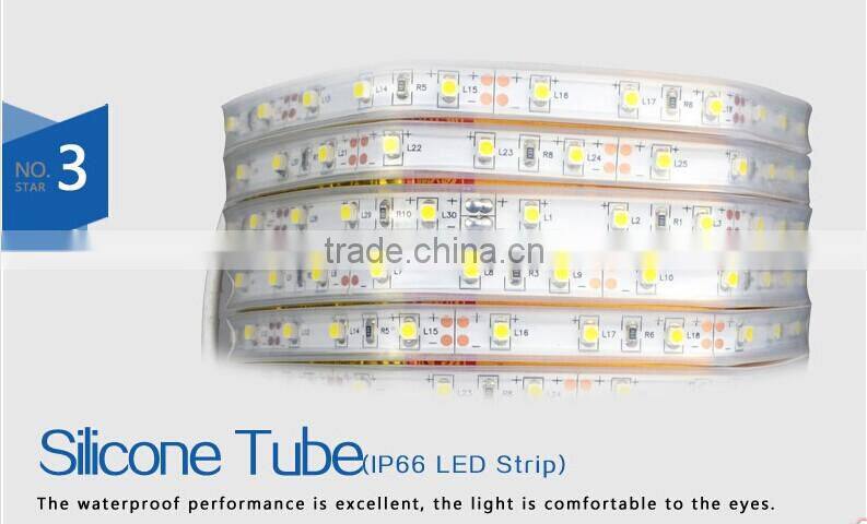 12v 3528 60LED/m IP67 Waterproof Flexible LED Strip Lighting