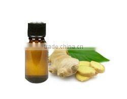 High quality ginger oil