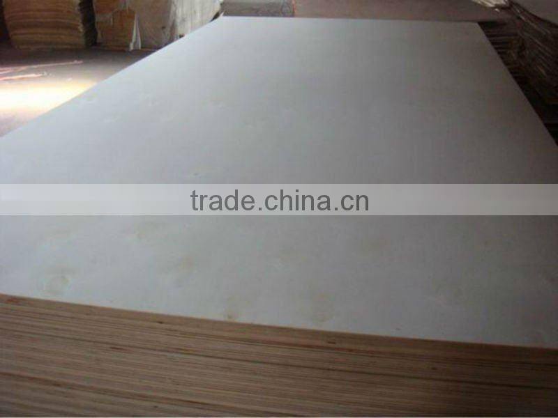 high quality and best price bleached poplar plywood