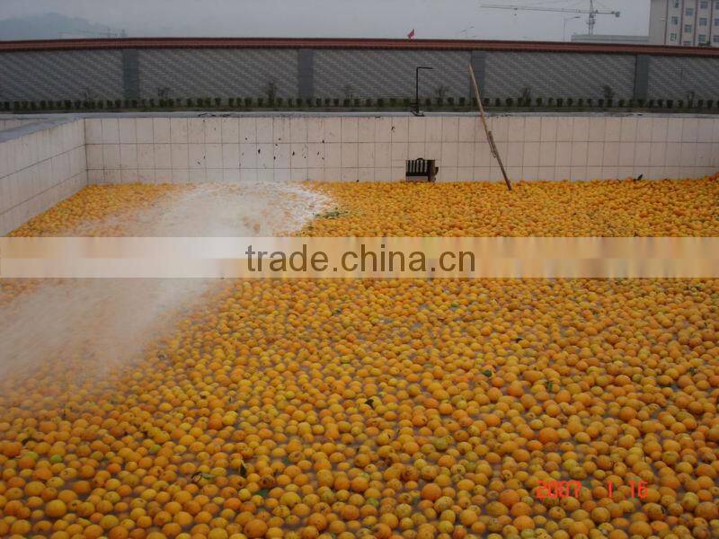 citrus processing line for produce orange juice