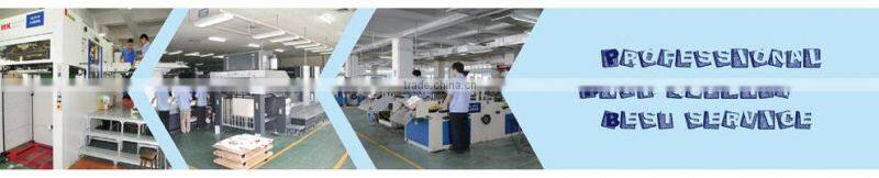 2016 Printing Cookies Gift Packaging Bags