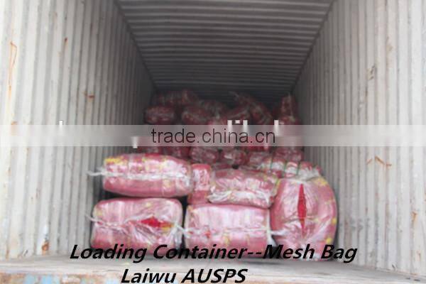 PE raschel mesh bag for packing vegetables