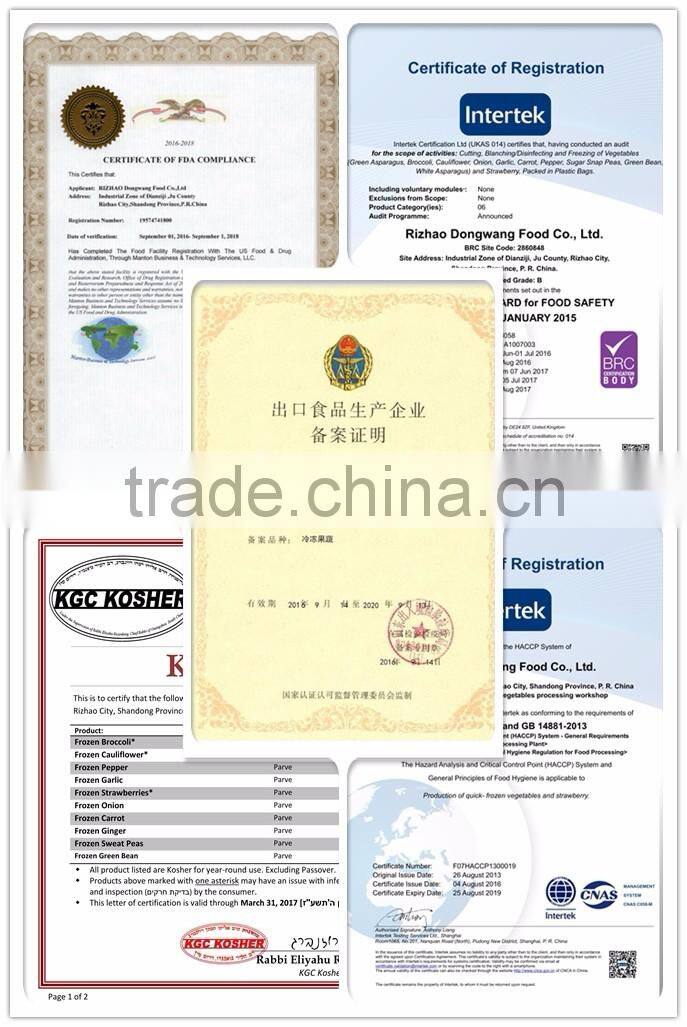 IQF Frozen Ginger paste 20g