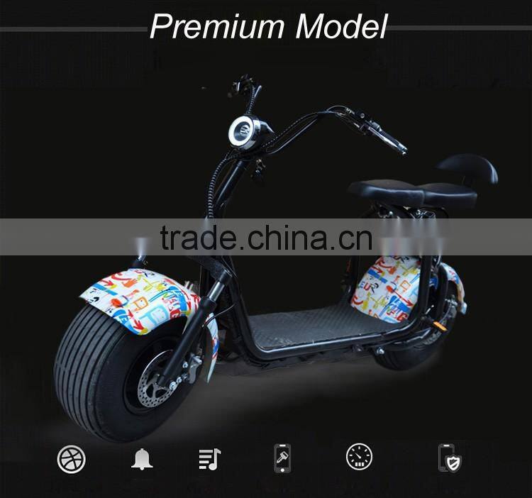 60V 12AH 1000 Watt Urban Electric Scooter Halley Mobility Scooter