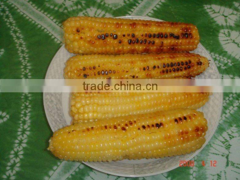 Hot Sale Sweet Corn roaster EB-18 0086-13632272289