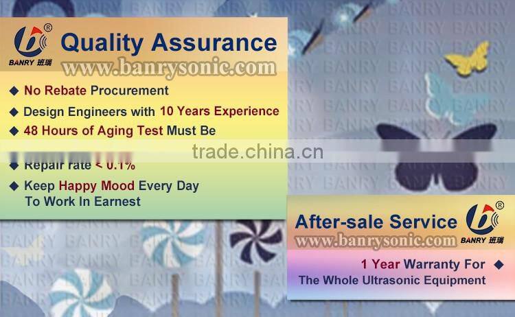 Hangzhou BANRY 20kHz Smooth cut Ultrasonic frozen food cutting machine