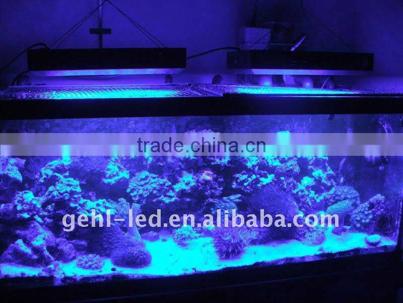 sunrise sunset simulation automatically 120w cree led aquarium light with wireless controller
