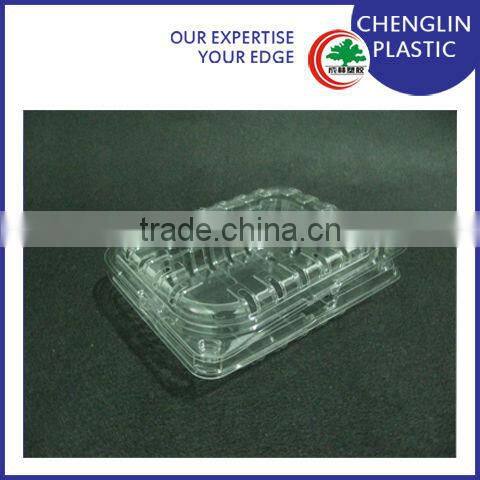 disposable blister plastic container food