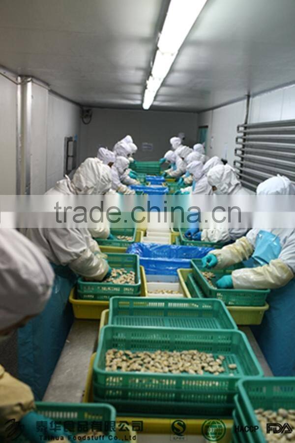 Wholesale Meretrix lyrata Frozen Seafood Hard Clam
