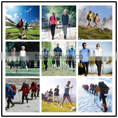 Wholesale new arrival gs approved 100% carbon nordic walking stick