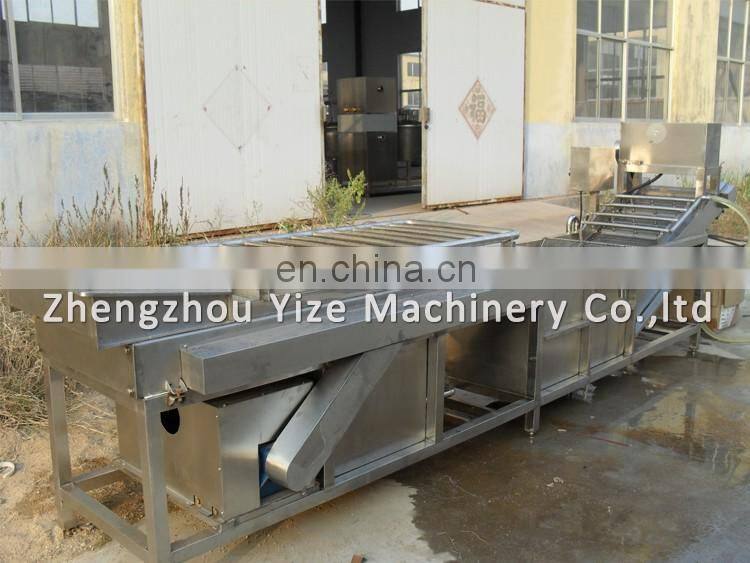 Bubble type fruit and vegetable washing machine , clean vegetable processing line