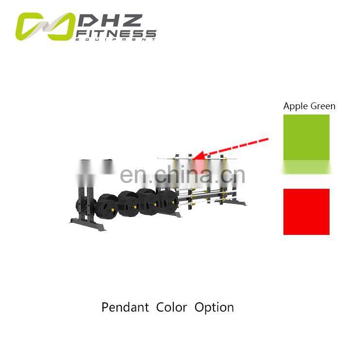 China Best Quality Gym Cross Training Dumbbells Weight Plate Rack