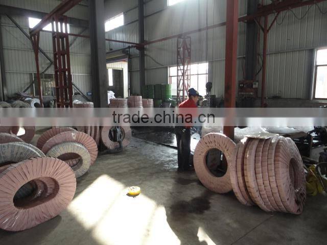 CK67 prime select quality Rolling shutter door spring steel strip