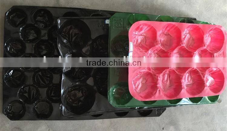 Plastic Material and PVC or PET Plastic Type PVC fruit packaging tray