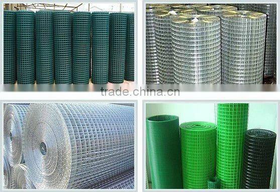 Anping factroy supple hot-dipped Galvanized Welded Wire Mesh