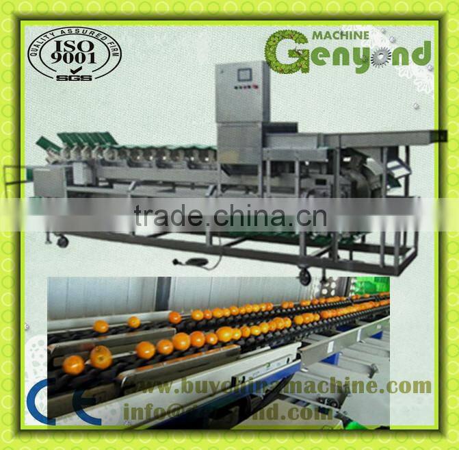 stainless steel small fruit weight sizing machine