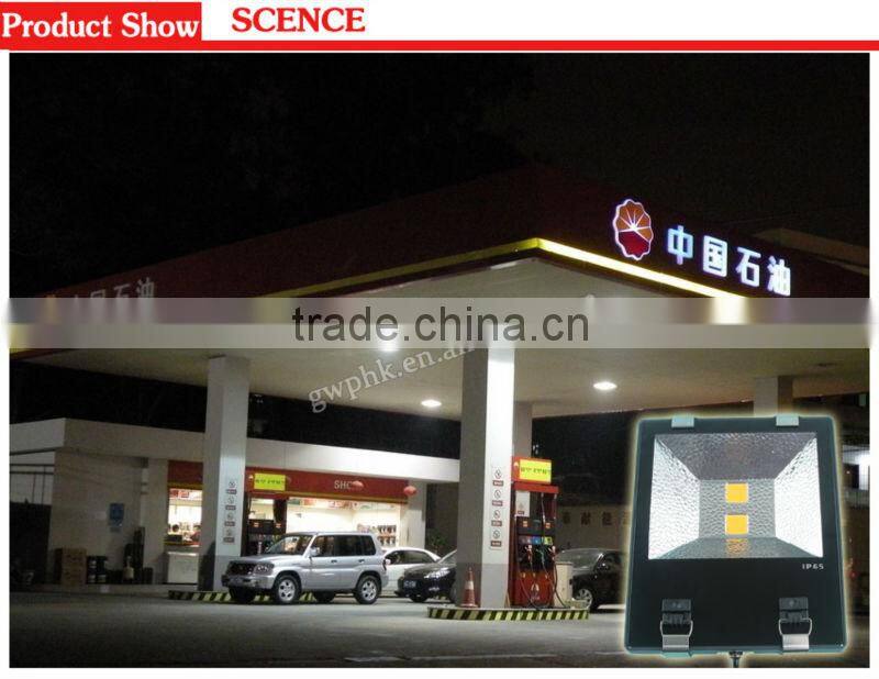 LED flood light with motion sensor