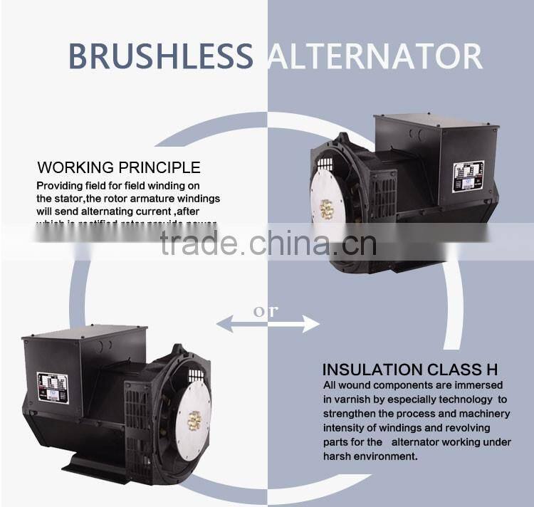 High Voltage 25Kw Single Phase 220V Alternator