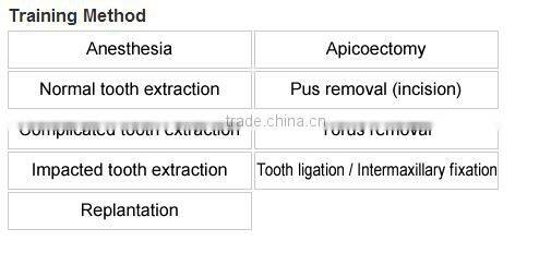 Oral Surgery Jaw Model