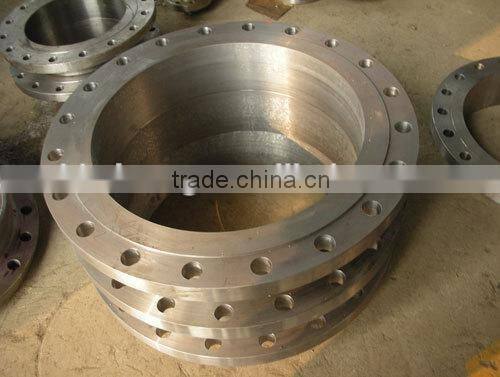 OEM stainless steel forged flange made in China