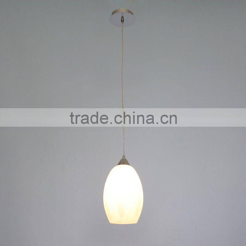 Contemporary single hanging lamp& glass pendant