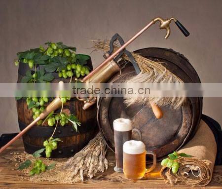 Ruijia commercial beer brewery equipment for sale 50l