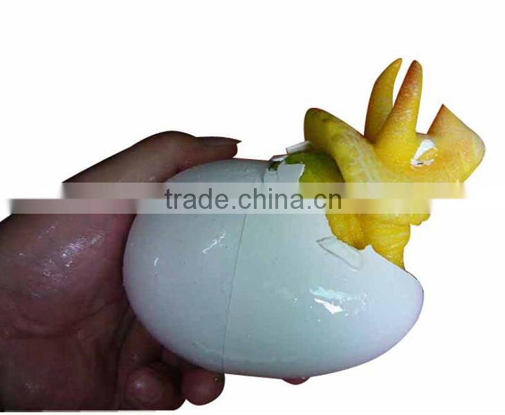 Creative colorful dinasour egg grow in water growing toy