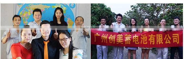 free shipping fee 55D23l exide batteries