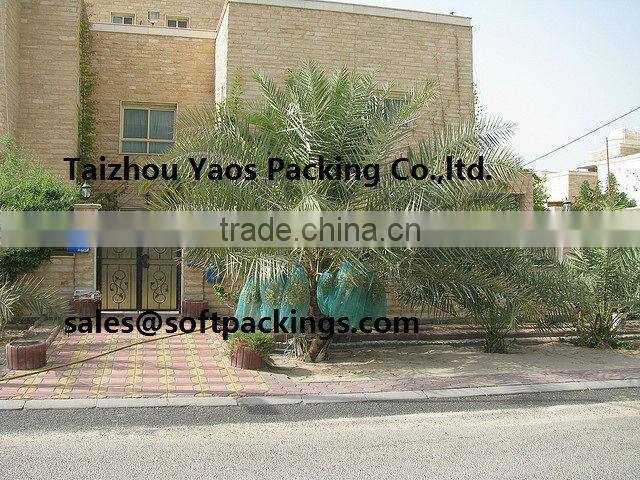 2014 season green mono filament HDPE date tree date palm mesh net bag for date cover with black drawstrings