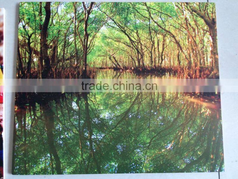 China digital large-format LED varnish phone case ceramic glass plastic metal uv flatbed printer price