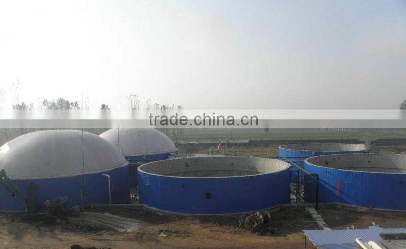 China PUXIN 100-5000 cbm Soft Dome Biogas Plant for Cow Hog Farm Waste Treatment