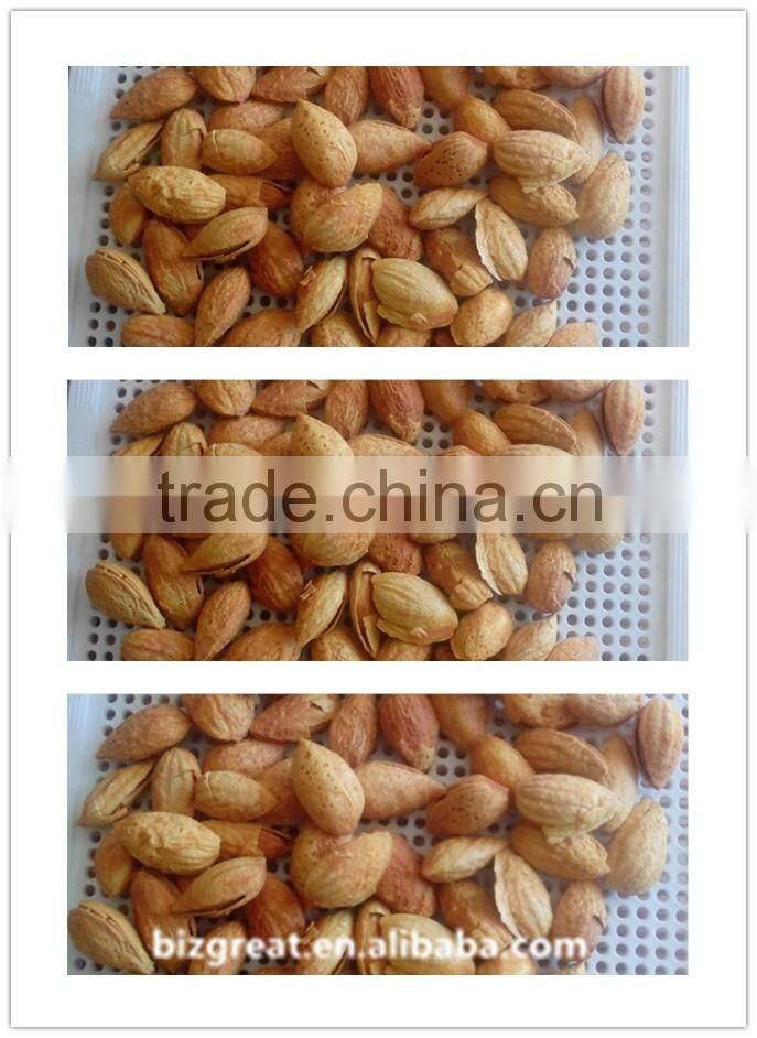 China NP roasted almond nut in shell for sale