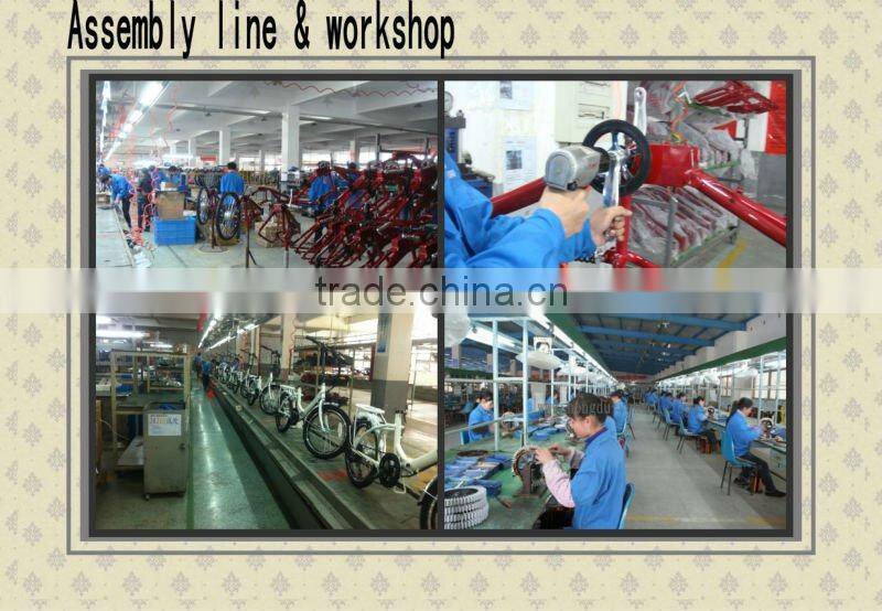 3 wheel electric bicycle with 250W for sale