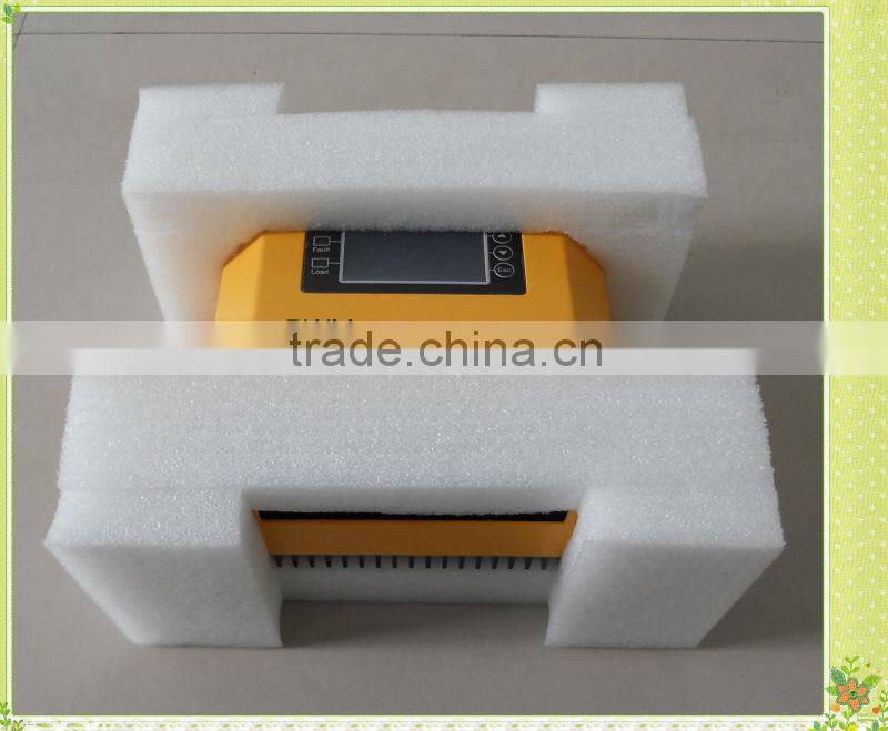 China 12V 24V 48V Mini Pwm Solar Charge Controller/ Mppt Solar Controller