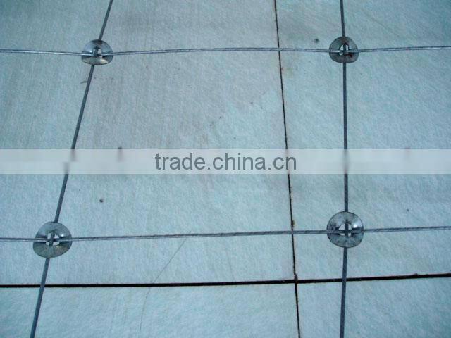 Anping county iron prairie fence(manufacturing)