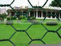 Galvanized Chicken wire mesh/Hexagonal wire netting( factory ISO9001 )