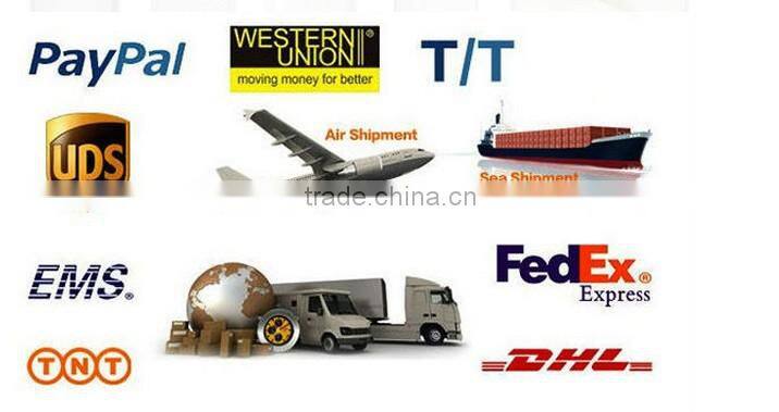 Plastic/PP+PE/Poly/HDPE/LDPE/CPE/Disposable/PE Shoe Cover