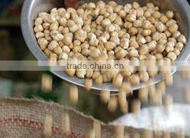 Protein Chickpeas Supplier