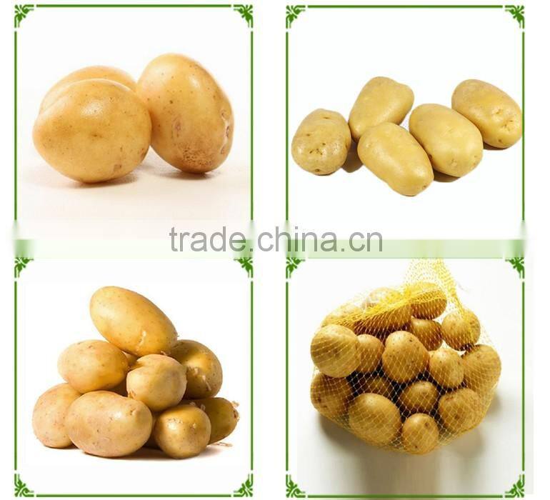 Best Fresh Potatoes New Price 2016