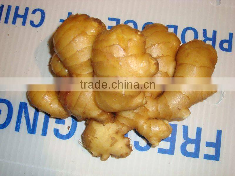 ginger mesh bag package