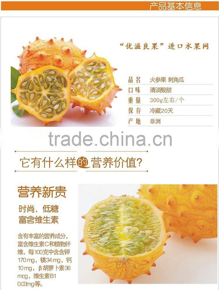 Kewana seeds Jelly Melon Seeds The horned Melon For Growing