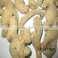 DRIED GINGER
