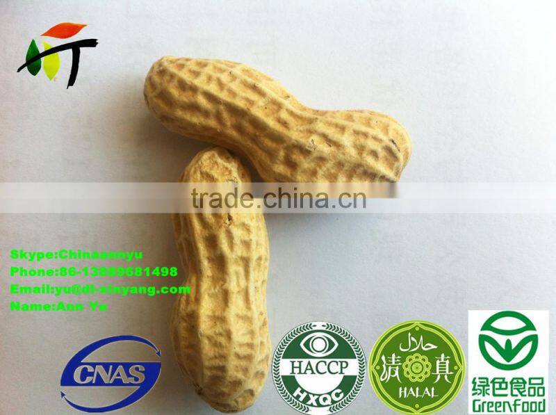 ROASTED PEANUT IN SHELL 9/11 NATURE FLAVOR