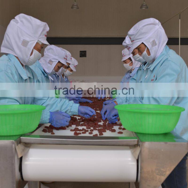 New Crop EU Standard Preserved Dried Strawberry Dehydrated Low Sugar