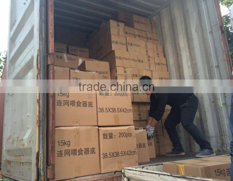 cheap PP material chicken feeder and drinker