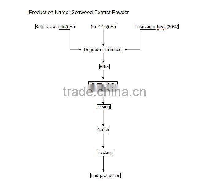 Bulk Soluble Seaweed Fertilizer/Dried Seaweed