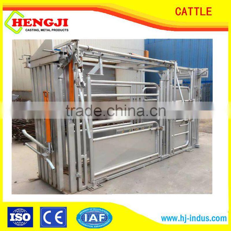 poultry farming cattle feeder