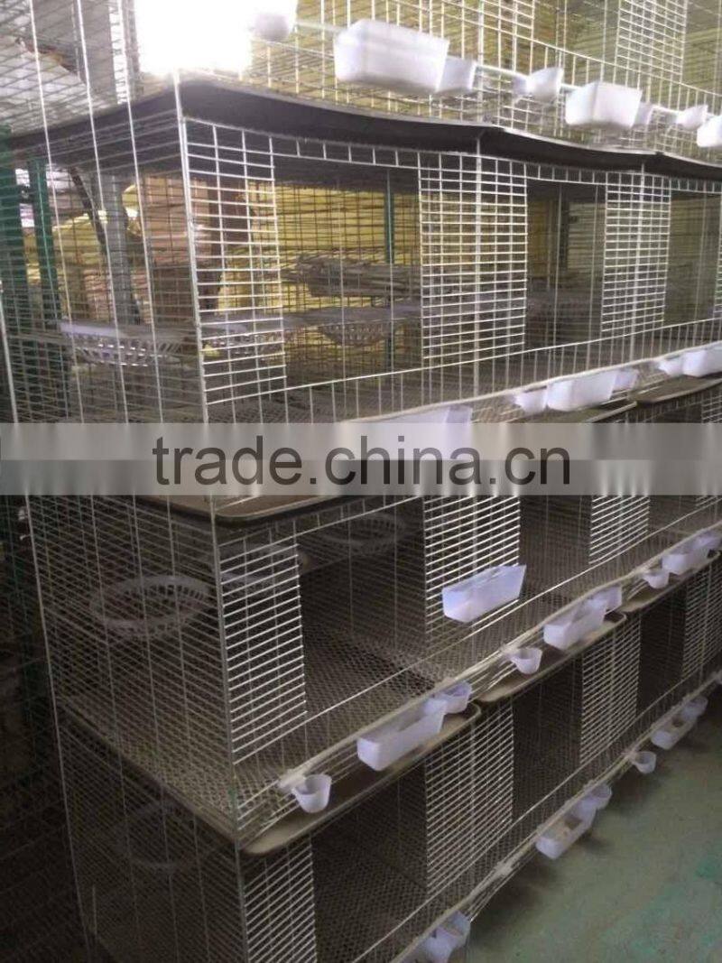 Breeding Pigeon Cage Factory Sale